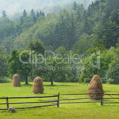 haystacks in the mountain valley