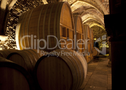 wine cellar with big barrels