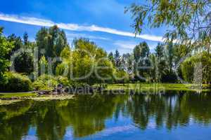 Teich mit Wald