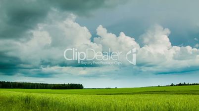 Green field with overcast clouds time lapse