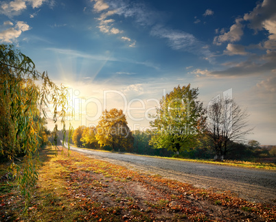 Autumn highway