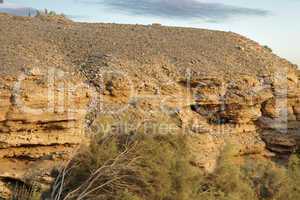 desert landscape