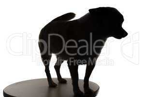 Silhouette of a small dog chihuahua