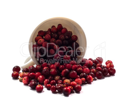 cranberries, berries