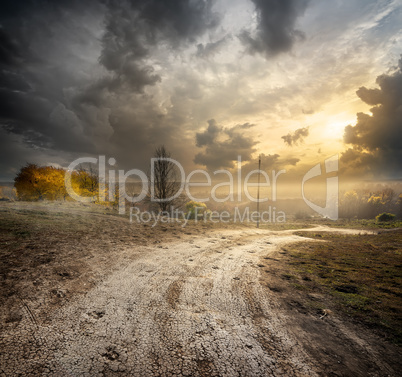 Fog over country road