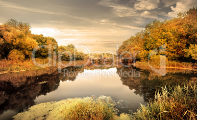 River in the autumn