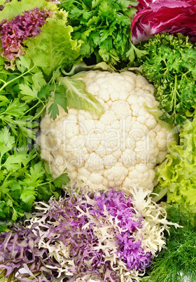 background of leaves of cabbage and other greens