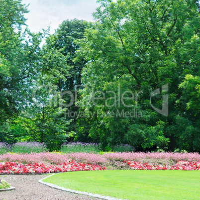 Blossoming flowerbeds in the park