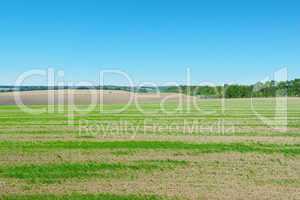 field and blue sky