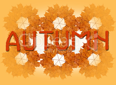 inscription Autumn on the autumn leaves