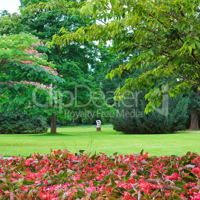 summer park, lawn and flower garden