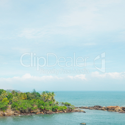 peninsula with tropical palm trees and waterscape