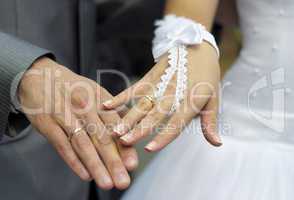 Hands newlyweds with wedding rings