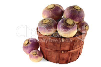 Vegetable Turnip roots