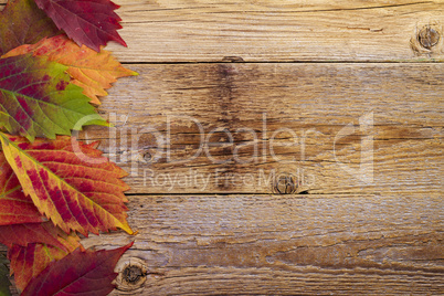 autumn maple leaves over old wooden background with copy space
