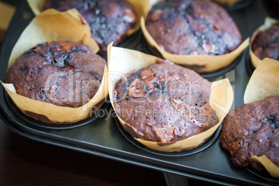 Chocolate muffins with blueberry on cooking pan