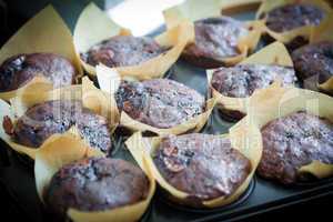 Chocolate muffins with blueberry on cooking pan