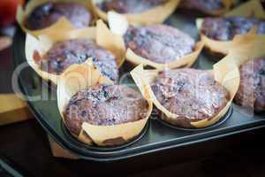 Chocolate muffins with blueberry on cooking pan