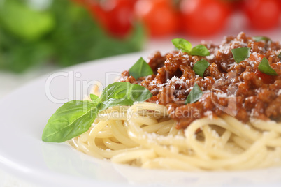 Spaghetti Bolognese Nudeln Pasta Gericht mit Tomaten