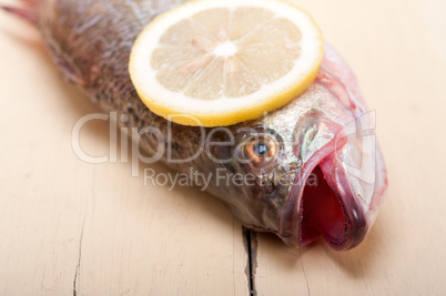 fresh whole raw fish