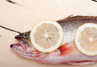 fresh whole raw fish