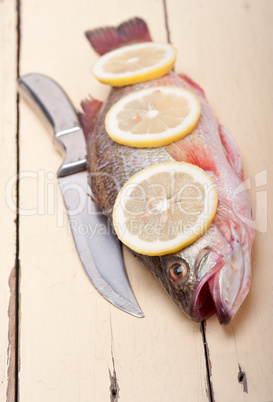 fresh whole raw fish