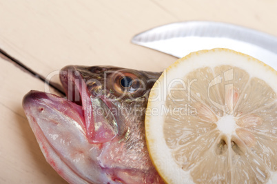 fresh whole raw fish