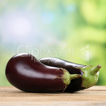 Aubergine Gemüse im Sommer