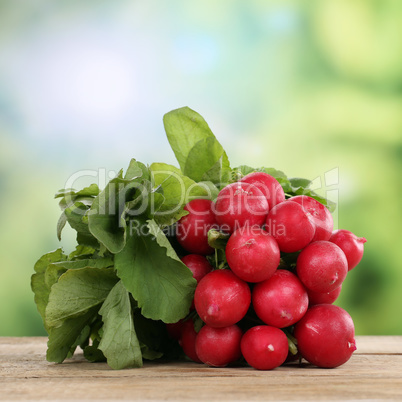 Radieschen Gemüse im Sommer