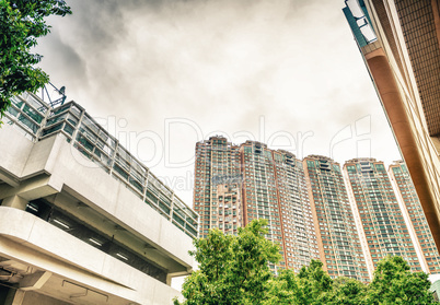 MACAU - MAY 10, 2014: City buildings and palms on a beautiful da