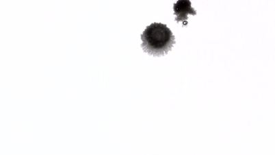 drop black ink blot blob