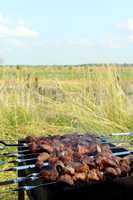 appetizing barbecue on the fire in the field