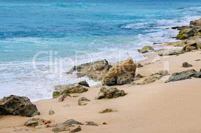 picturesque sandy coastline
