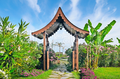 wooden gate in the patio