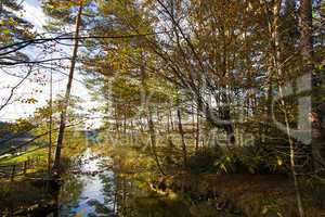 HDR capture of an autumnal landscape in Bavaria