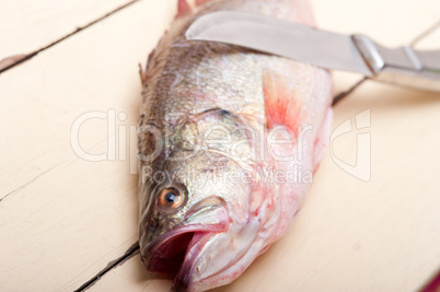 fresh whole raw fish