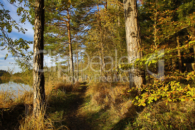 HDR capture of an autumnal landscape in Bavaria