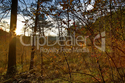 HDR capture of an autumnal landscape in Bavaria