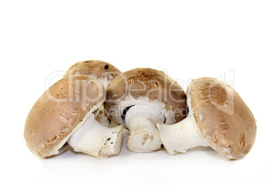 Champignons