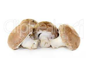 Champignons