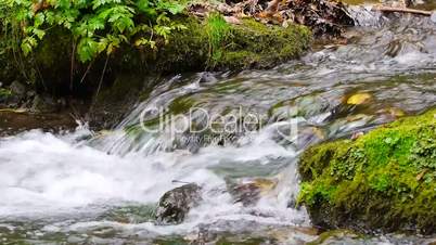 Gutach-Wasserfall