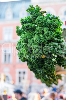 Oldenburg Kale