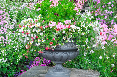 beautiful flower bed in vase