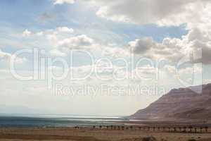 Beautiful coast of the Dead Sea .