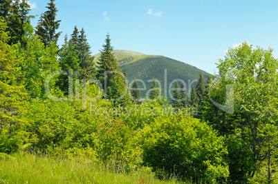 mountain peaks against the blue sky