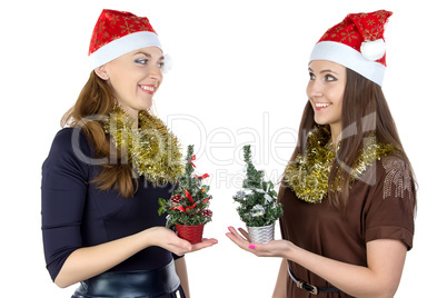 Image of two women with christmas fir tree