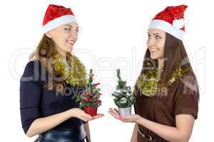 Image of two women with christmas fir tree