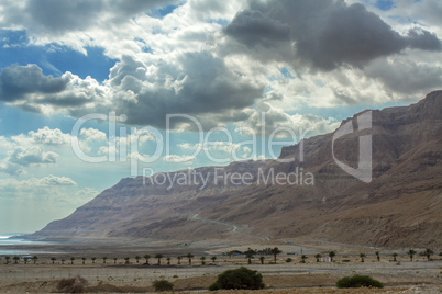 Beautiful coast of the Dead Sea .