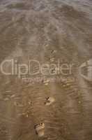 Spuren im Sand zum Westerhever Leuchtturm