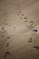 Spuren im Sand mit Schatten